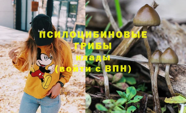 дживик Алексин