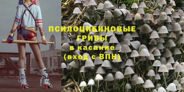 герыч Пересвет