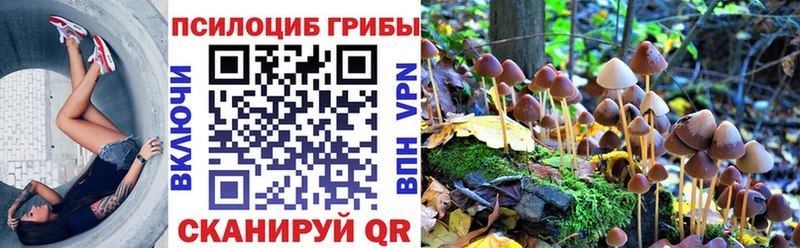 Псилоцибиновые грибы прущие грибы  гидра   Островной 